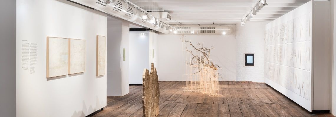 Werke von Susanne Kriemann im Rahmen der Ausstellung "Into The Woods".