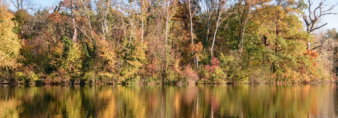 Noch bis 3. November 2024 lädt das Team des Schlossparks Laxenburg zu einem wunderbar herbstlichen Programm ein.
