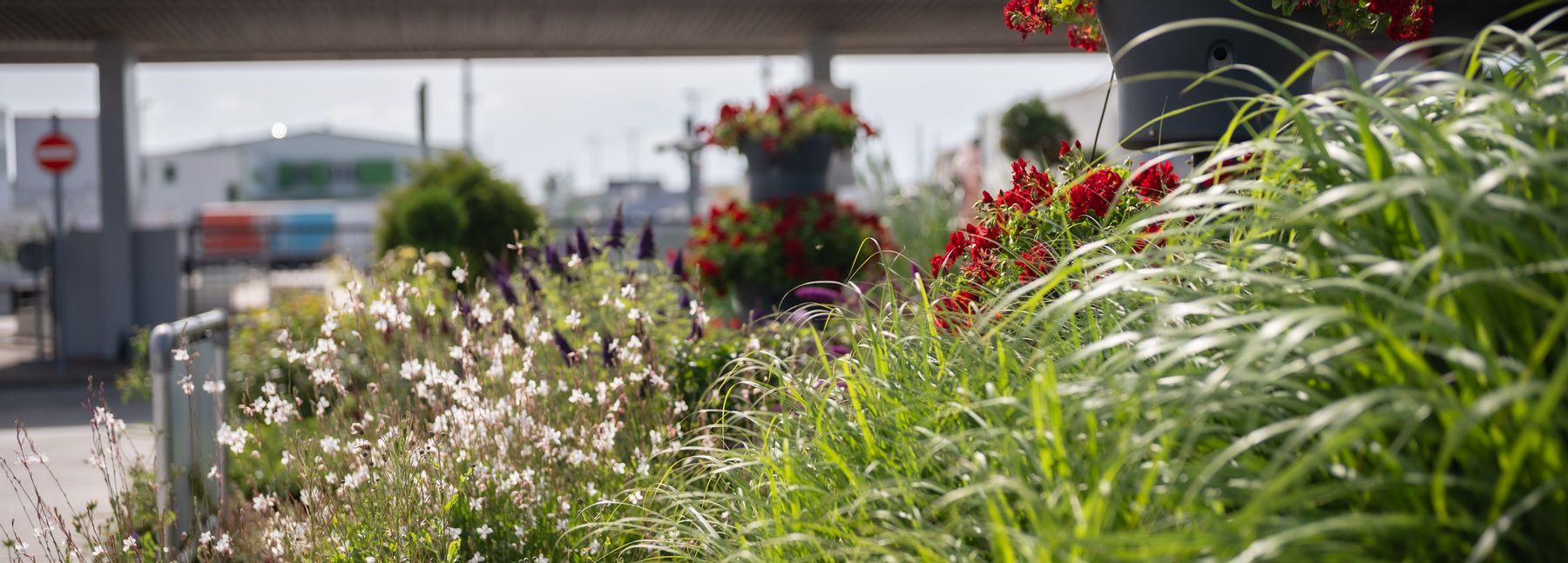 Blick auf den Großmarkt Wien im Hintergrund, im Vordergrund Blumen und Gras.