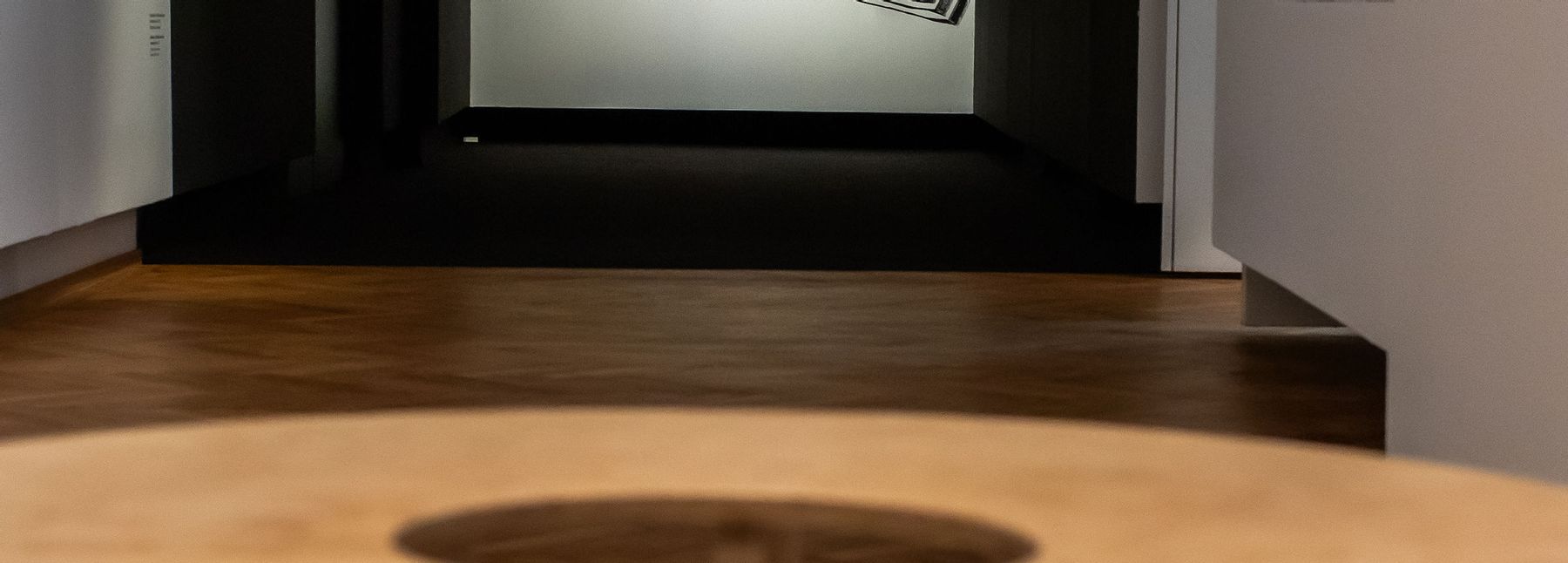 Zu sehen ist Eran Shakines Bild auf einem schwarzen Hintergrund mit einem Tisch im Vordergrund.