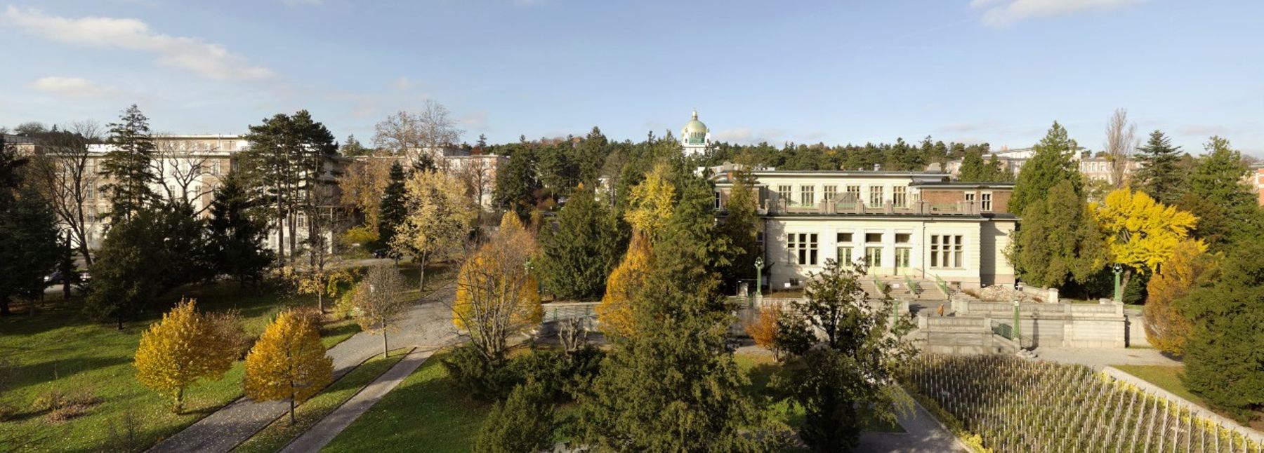 Blick auf das Gelände des Otto-Wagner-Areals mit Bäumen und Wegen; im Hintergrund ist die Otto-Wagner-Kirche zu sehen.