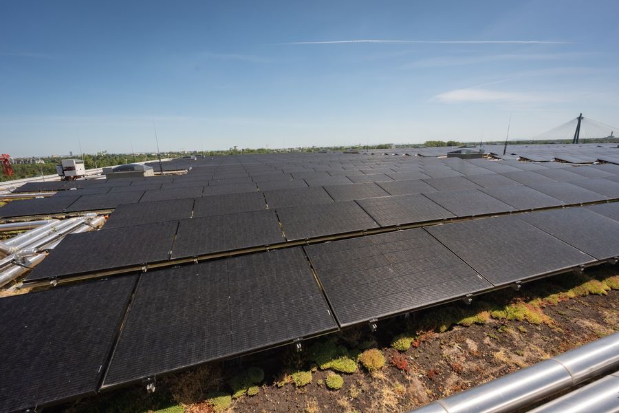 Fläche mit Solarpaneelen ist zu sehen