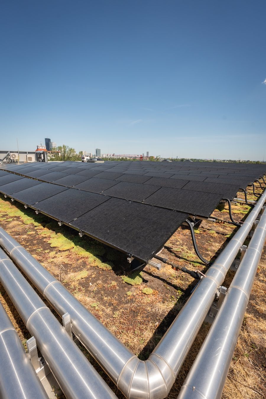 Solarpaneele auf einem begrünten Dach mit sichtbaren Leitungen