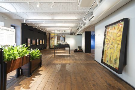 Heller Ausstellungsraum im Museum Hundertwasser im KunstHausWien mit Holzboden, weißer Gewölbedecke und Spotbeleuchtung; an den Wänden hängen farbenreiche Kunstwerke, in der Mitte stehen Vitrinen und Pflanzenelemente.