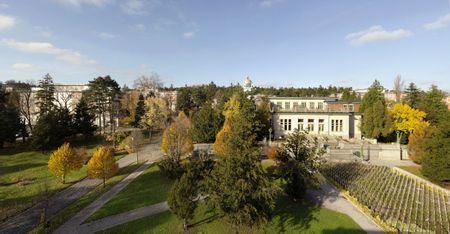 Blick auf das Gelände des Otto-Wagner-Areals mit Bäumen und Wegen; im Hintergrund ist die Otto-Wagner-Kirche zu sehen.