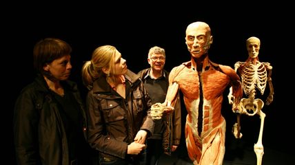 Besucher*innen der Ausstellung Körperwelten, welche die Ausstellungsstücke betrachten